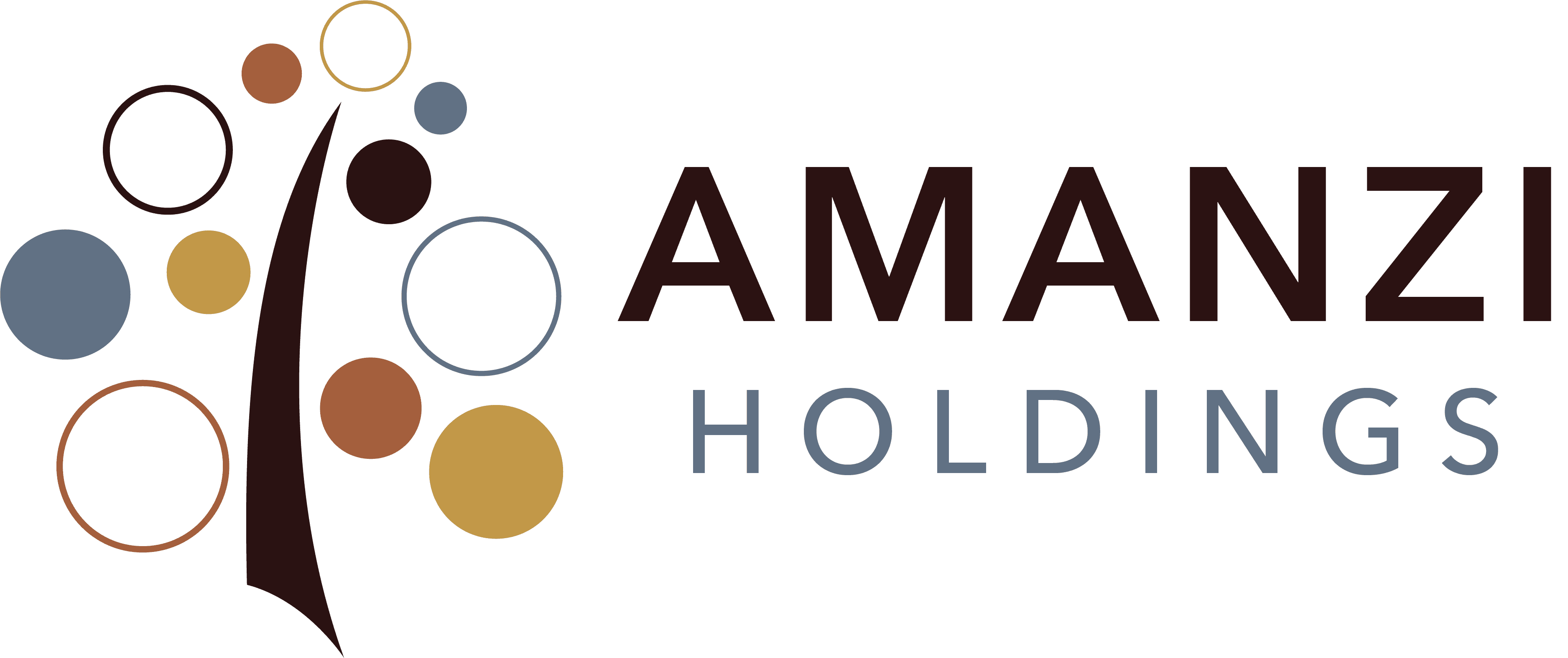 Amanzi Holdings